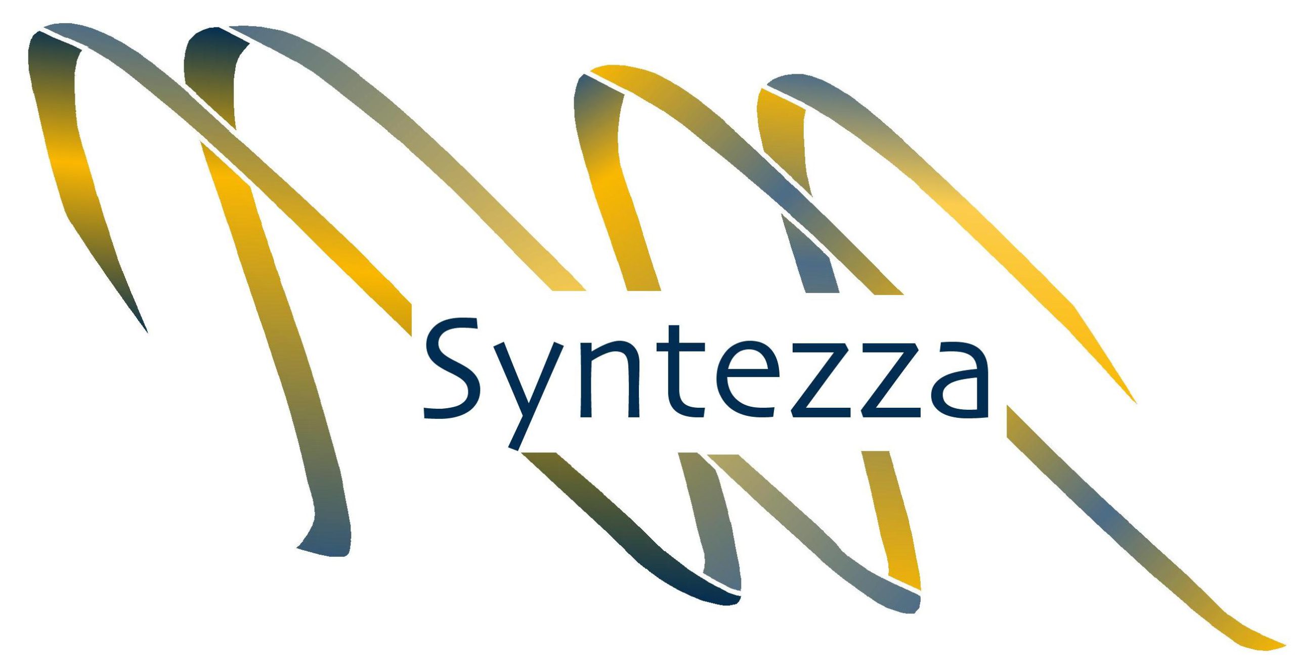 Syntezza logo 4 color