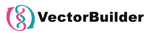 VectorBuilder-1024x245
